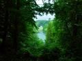 Stourhead 