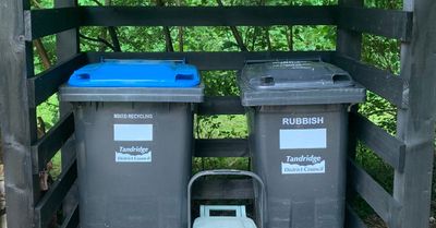 New bin store made from offcuts and left over timber from the log store build.