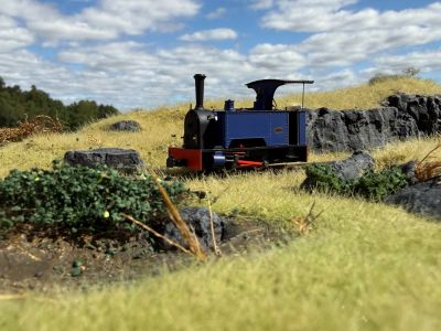 009 Society Exclusive Sirdar in dark blue with a half cab passing through a summer landscape of straw coloured grass