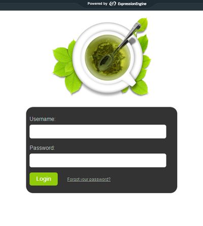 Customised ExpressionEngine log-in screen