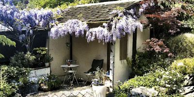 Our small garden in Croydon based on ideas from out trip to Japan with the flowering wisteria adorned, cedar shingled Machiai Japanese waiting shelter