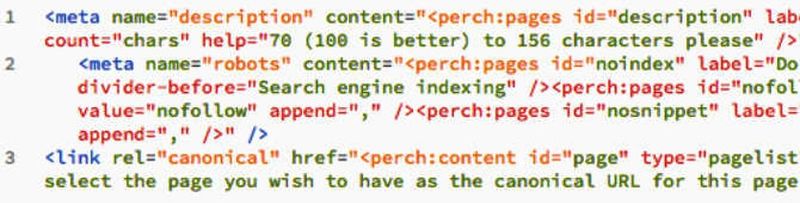How I add canonicals into Perch CMS sites