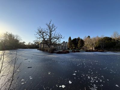 Old Scotney Castle from across the lake from the east with a massive oak bare of leaves on the island in front of the old ruins.